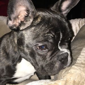 Meet your Posher, Emira